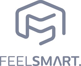 AUSSCHREIBEN.DE Softwarepartner - FEELSMART. Logo FEELSMART